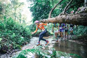 BIB: 
                            <button type="button" onclick="openModal(25444376)" class="btn btn-primary btn-sm float-right btn-popup" data-toggle="modal" data-target=".modal-high-quality">
                        <i class="fas fa-shopping-cart"></i> Add to Cart
                    </button>
                                            <button type="button" onclick="isThisMe(25444376, true)" class="btn btn-success btn-sm float-right btn-popup btn-isme hidden" data-toggle="tooltip" data-placement="bottom" title="นี่คือรูปของคุณใช่ไหม คลิกที่นี่เพื่อเอาเข้าอัลบั้ม">
                        <i class="fas fa-plus"></i> Add to album
                    </button>
                    <button type="button" onclick="isThisMe(25444376, false)" class="btn btn-warning btn-sm float-right btn-popup btn-isnotme hidden">
                        <i class="fas fa-ban"></i> Remove from album
                    </button>